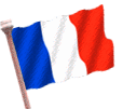 france drapeaux 28