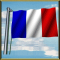france drapeaux 41