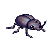 scarabee 22