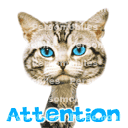 attention 00