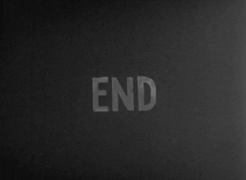the end fin 13