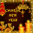 fete nouvel an chinois 257