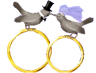 fete anneaux de mariage 125